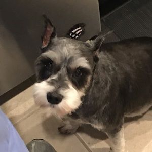 Meet your Posher, Rebecca